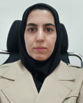 Elmira Bazregarzadeh