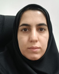 المیرا بذرگر زاده