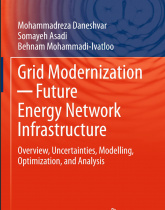 Grid Modernization: Future Energy Network Infrastructure: Overview, Uncertainties, Modelling, Optimization, and Analysis