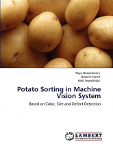 Potato Sorting in Machine Vision System